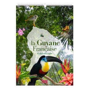 GUYANE 2026 - MARQUAGE 1 COULEUR