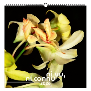 NI VU, NI CONNU 2026 - XXL 474 x 474 mm - MARQUAGE 1 COULEUR - PAGE DE GARDE REPIQUÉE - RELIURE SPIRALE