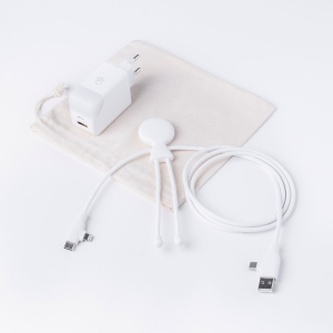 Pack Mobility - Pack composé d'un câble Mr bio Long Fast 60w d'1m20 et une prise ICE-GAN