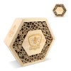 Ruche en bois FSC hexagonal