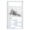 PLAQUE 1 VUE JULIETTA 2027 - EURO BLOC - BLOC AGRAFE - MARQUAGE QUADRI