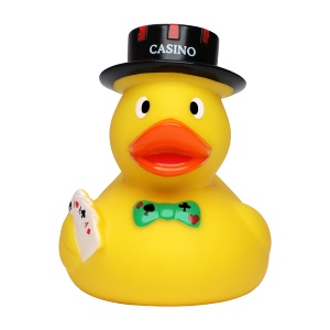 Canard sport