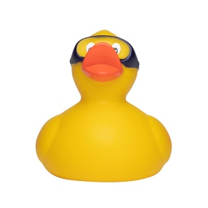 Canard sport