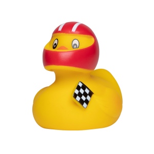 Canard sport