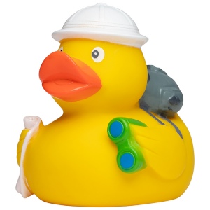 Canard voyage