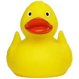 Canard uni