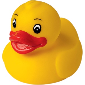Canard uni