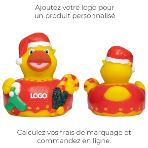 Canard hiver