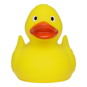 Canard de course