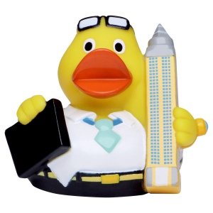Canard voyage