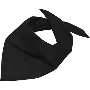 Bandana triangle