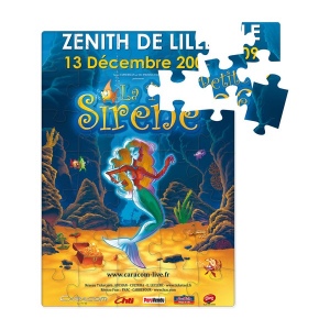 Puzzle magnetique 20,5 x 29 cm (+Quadri numérique QV11)