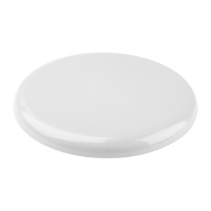 Smooth Fly Smooth Fly frisbee