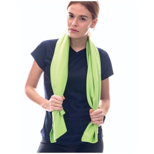Serviette Micro-Fibre 30 X 50 Cm