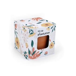 Cube de plantation 7cm - Standard