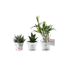 Plante pot zinc Ø7 cm
