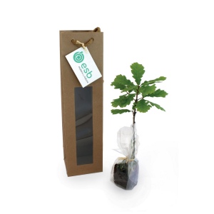 Plant d'arbre sac kraft - Prestiges