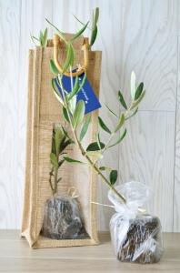 Plant d'arbre sac jute - Prestige