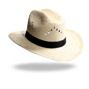 Chapeau pail. bl. STETSON