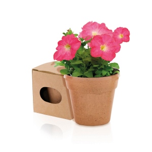 Pot de Fleurs - Advert