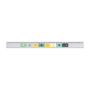 Regle aluminium 30cm (+Quadri numérique QV11)
