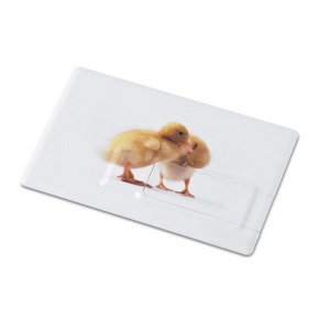 Memorama usb Clés USB aux dimensions d'une Carte de crédit en ABS - 8 go (import)