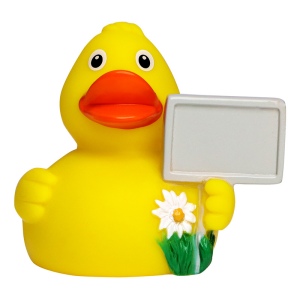Canard voyage