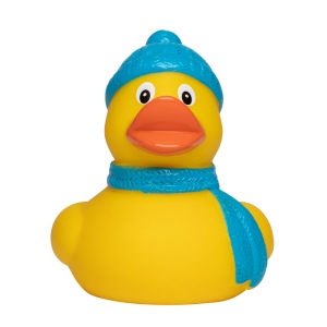 Canard hiver