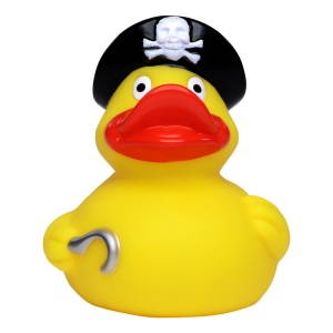 Canard voyage