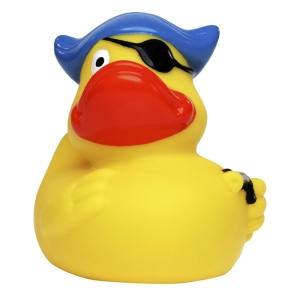 Canard voyage