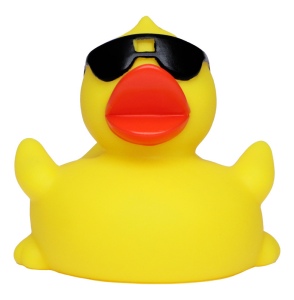 Canard voyage
