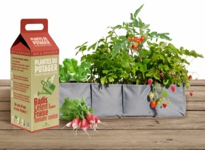 Kits à Pousser © Plantes du Potager pour la cuisine