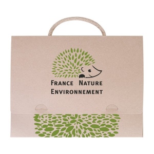 Valisette carton recycle  (+Quadri numérique QV31)