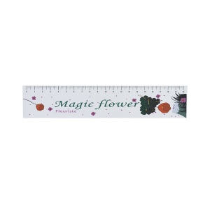Regle indechirable 20 cm (+Copie laser CL21)