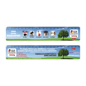 Regle souple pvc 20 cm (+Quadri numérique QV12)