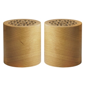 Enceintes (2) BT WOODSTOK