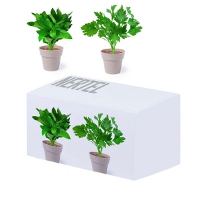 Set Pot de Fleurs - Nertel