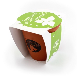 Kit  plantation terre cuite Ø10 cm