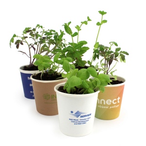 Petit pot carton