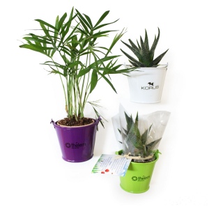 Plante pot zinc aimanté