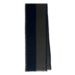 Echarpe longue Alesso