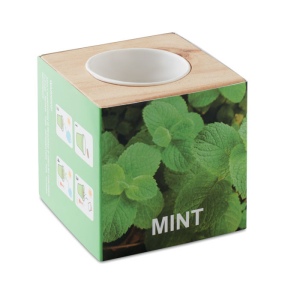 MENTA - Pot en bois avec graine