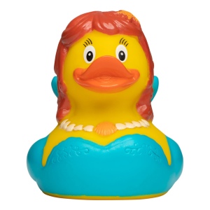 Canard voyage