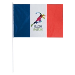 Drapeau tricolore (+Quadri sublimation QS11)