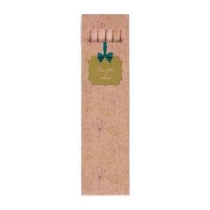 Etui 6 Cr Coul Eco 17,6