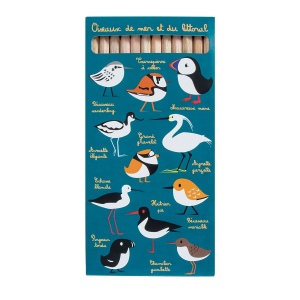 Etui 12 Cr Coul Eco 17,6