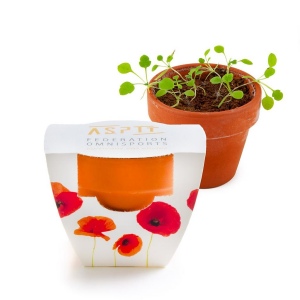KIT EXPRESS TERRE CUITE 55 MM