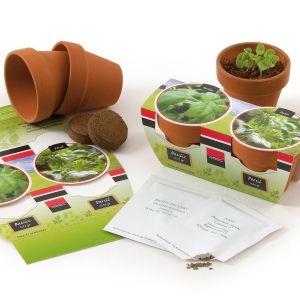DUO DE POTS TERRE CUITE AVEC GRAINES À SEMER