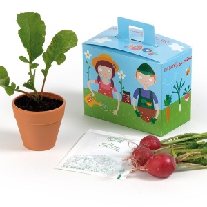 PETITE MALLETTE DE JARDINAGE AVEC POT ET GRAINES
