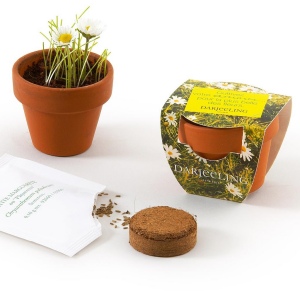 MINI KIT DE PLANTATION TERRE CUITE 45 MM